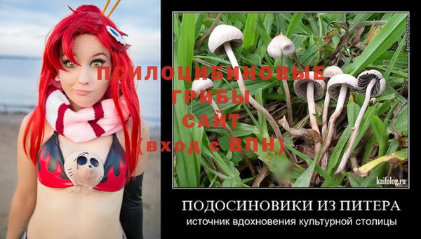 прущий лед Алексеевка