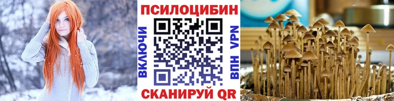 Галлюциногенные грибы GOLDEN TEACHER  купить наркотики сайты  Слободской 