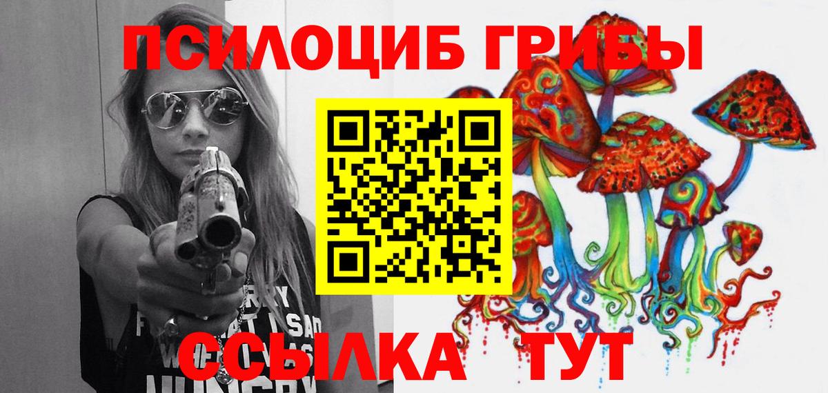 Псилоцибиновые грибы GOLDEN TEACHER  Вход с VPN  Слободской 