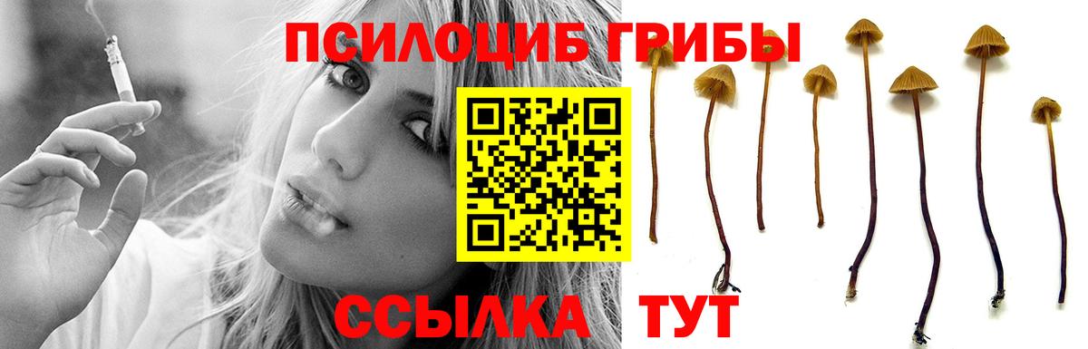 Псилоцибиновые грибы ЛСД Слободской