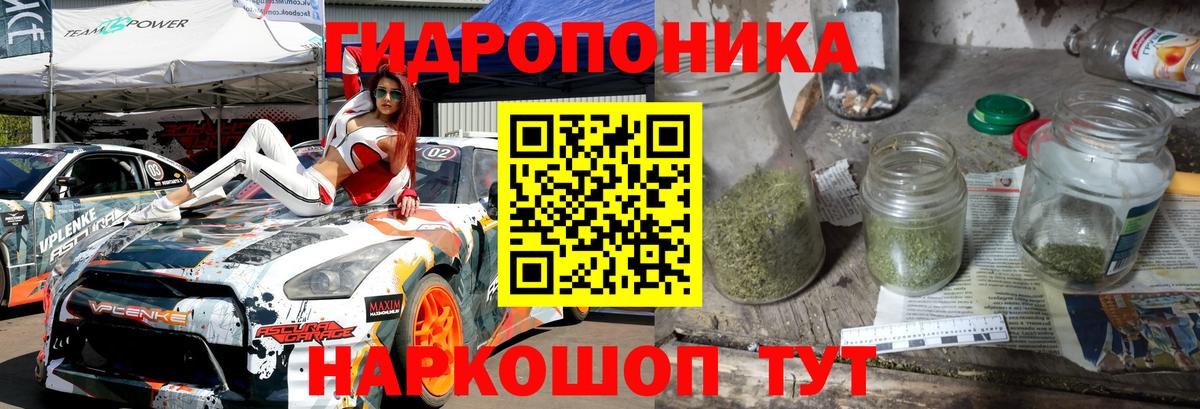 МАРИХУАНА ГИДРОПОН  Бошки марихуана план  Вход с VPN  Слободской  Канабис Bruce Banner 